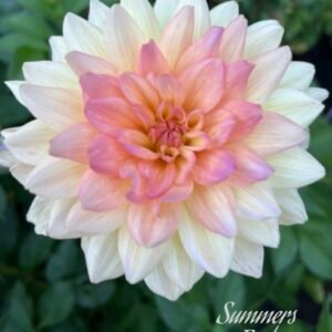 Summers End