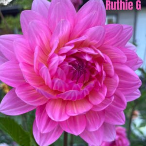 Ruthie G